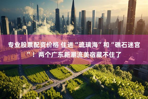 专业股票配资价格 住进“琉璃海”和“礁石迷宫”！两个广东新潮流美宿藏不住了